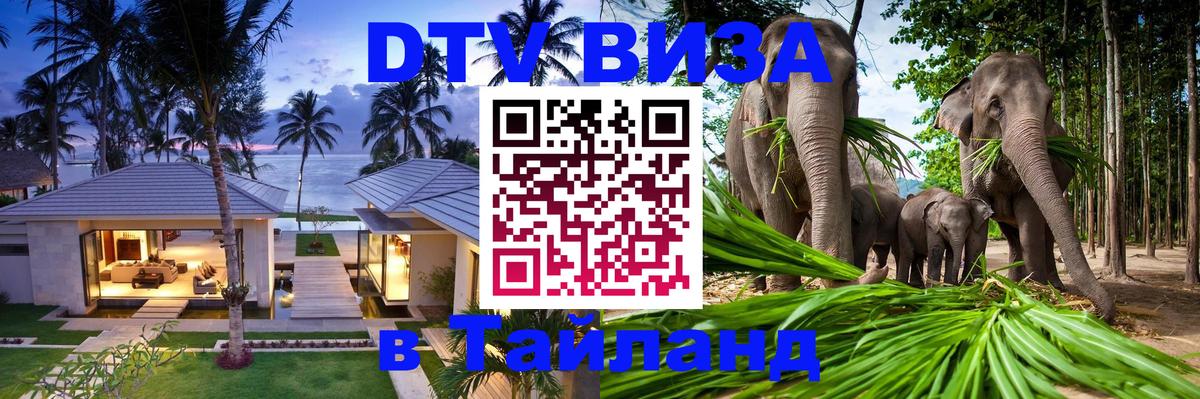 Сколько стоит DTV виза — актуальные цены, оформление даже без документов - Элиста 